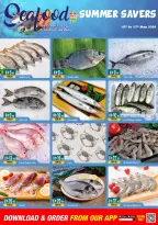 Ofertas de supermercado West Zone Emiratos Árabes Unidos de 15 a 19 mayo 2026 Ahorros de verano - supermercado West Zone - Emiratos Árabes Unidos - 15 mayo 2026 – 19 mayo 2026 - Página 15