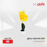 عروض رنين من ١٧ حتى ١٨ مايو ٢٠٢٦ عروض هدايا وديكورات - صفحة 66