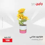 عروض رنين من ١٧ حتى ١٨ مايو ٢٠٢٦ عروض هدايا وديكورات - صفحة 65