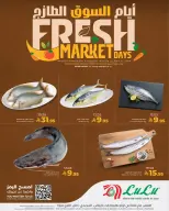 Ofertas de Lulu Central Region de 30 Dhuʻl-Qiʻdah a 2 Dhuʻl-Hijjah 1447 AH (17 – 19 mayo 2026) Días de mercado frescos - Página 4