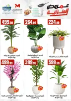 Ofertas de El Mahlawy de 17 a 23 mayo 2026 Ofertas para el hogar - El Mahlawy - Egipto - 17 mayo 2026 – 23 mayo 2026 - Página 11