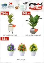 Ofertas de El Mahlawy de 17 a 23 mayo 2026 Ofertas para el hogar - El Mahlawy - Egipto - 17 mayo 2026 – 23 mayo 2026 - Página 12