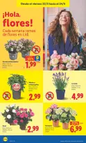 Offres Lidl Espagne de 18 à 24 mai 2026 Offres hebdomadaires - Lidl - Espagne - 18 mai 2026 – 24 mai 2026 - Page 48