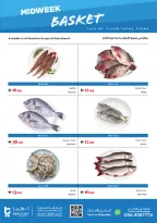 Trolleys supermarket UAE offers from 18 to 20 May 2026 Midweek Special Deals - Trolleys supermarket - UAE - 18 May 2026 – 20 May 2026 - Page 2
