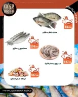 عروض عرفة ماركت بفرع الفيوم من ٢٠ حتى ٢١ مايو ٢٠٢٦ عروض حلقة السمك - عرفة ماركت - مصر - 20 مايو 2026 – 21 مايو 2026 - صفحة 3