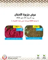 Mod co-op offers Wednesday 20 May 2026 Cheese offers - Mod co-op - Kuwait - 20 May 2026 – 20 May 2026 - Page 3