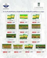 عروض جمعية الشعب التعاونية من ٢٠ مايو حتى ٣ يونيو ٢٠٢٦ عروض السوق المركزى - جمعية الشعب التعاونية - الكويت - 20 مايو 2026 – 3 يونيو 2026 - صفحة 31