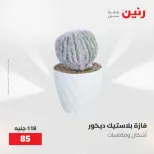 عروض رنين من ٢١ حتى ٢٣ مايو ٢٠٢٦ عروض هدايا وديكورات - صفحة 56