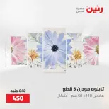 عروض رنين من ٢١ حتى ٢٣ مايو ٢٠٢٦ عروض هدايا وديكورات - صفحة 2