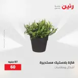 عروض رنين من ٢١ حتى ٢٣ مايو ٢٠٢٦ عروض هدايا وديكورات - صفحة 52