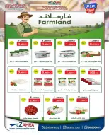 Ofertas de Al Zahraa co-op de 20 a 31 mayo 2026 Ofertas de Eid Al Adha - Al Zahraa co-op - Kuwait - 20 mayo 2026 – 31 mayo 2026 - Página 20
