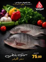 Offres Marché El Mahlawy de 20 à 21 mai 2026 Offres Fête du Poisson - Marché El Mahlawy - Egypte - 20 mai 2026 – 21 mai 2026 - Page 7