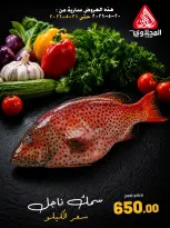 Offres Marché El Mahlawy de 20 à 21 mai 2026 Offres Fête du Poisson - Marché El Mahlawy - Egypte - 20 mai 2026 – 21 mai 2026 - Page 12