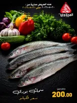 Offres Marché El Mahlawy de 20 à 21 mai 2026 Offres Fête du Poisson - Marché El Mahlawy - Egypte - 20 mai 2026 – 21 mai 2026 - Page 14