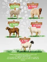 Farm markets Saudi Arabia offers from 3 to 9 Dhuʻl-Hijjah 1447 AH (20 – 26 May 2026) Eid Adha Mubarak Offers - Farm markets - Saudi Arabia - 20 May 2026 – 26 May 2026 - Page 43
