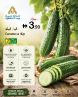 عروض تعاونية عجمان من ٢١ حتى ٢٧ مايو ٢٠٢٦ عروض عيد الأضحى - تعاونية عجمان - الإمارات - 21 مايو 2026 – 27 مايو 2026 - صفحة 2