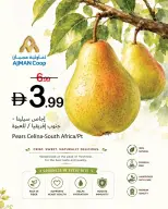 عروض تعاونية عجمان من ٢١ حتى ٢٧ مايو ٢٠٢٦ عروض عيد الأضحى - تعاونية عجمان - الإمارات - 21 مايو 2026 – 27 مايو 2026 - صفحة 8