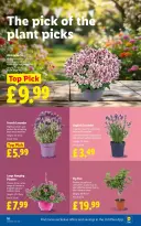 Lidl United Kingdom offers from 21 to 27 May 2026 Weekly offers - Lidl - United Kingdom - 21 May 2026 – 27 May 2026 - Page 22