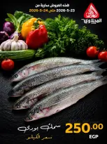 Offres Marché El Mahlawy de 23 à 24 mai 2026 Offres Fête du Poisson - Marché El Mahlawy - Egypte - 23 mai 2026 – 24 mai 2026 - Page 4