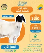 Ofertas de City hiper Katar de 24 a 26 mayo 2026 ofertas de comida fresca - City hiper - Katar - 24 mayo 2026 – 26 mayo 2026 - Página 4