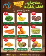 Offres Coopérative Alegaila Koweït seulement mardi 26 mai 2026 Festival des Fruits et Légumes - Coopérative Alegaila - Koweït - 26 mai 2026 – 26 mai 2026 - Page 5