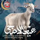 عروض هايبر النسر مصر من ٢٥ حتى ٣٠ مايو ٢٠٢٦ عروض عيد الأضحى - هايبر النسر - مصر - 25 مايو 2026 – 30 مايو 2026 - صفحة 1