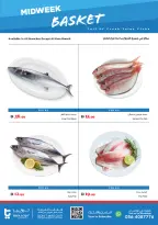 Offres supermarché Trolleys Émirats arabes unis de 26 à 27 mai 2026 Offres en milieu de semaine - supermarché Trolleys - Émirats arabes unis - 26 mai 2026 – 27 mai 2026 - Page 4