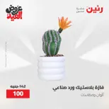 عروض رنين من ٢٨ مايو حتى ١ يونيو ٢٠٢٦ عروض هدايا وديكورات - صفحة 69