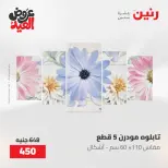 عروض رنين من ٢٨ مايو حتى ١ يونيو ٢٠٢٦ عروض هدايا وديكورات - صفحة 2