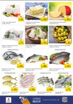 Ofertas de Nesto Al Karama de 28 a 31 mayo 2026 Ofertas de ahorro en Mashreq - Página 13