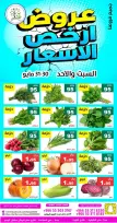 Hasad Albasatin Saudi Arabia offers from 13 to 14 Dhuʻl-Hijjah 1447 AH (30 – 31 May 2026) Low Price - Hasad Albasatin - Saudi Arabia - 30 May 2026 – 31 May 2026 - Page 5