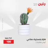 عروض رنين من ٢ حتى ٣ يونيو ٢٠٢٦ عروض هدايا وديكورات - صفحة 58