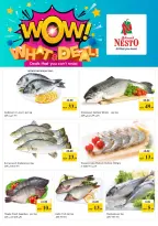 Ofertas de Nesto Mleiha de 1 a 3 junio 2026 Carro de beneficios - Nesto - Emiratos Árabes Unidos - 1 junio 2026 – 3 junio 2026 - Página 12