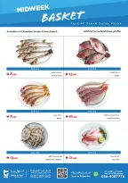 Offres supermarché Trolleys Émirats arabes unis de 2 à 3 juin 2026 Offres en milieu de semaine - supermarché Trolleys - Émirats arabes unis - 2 juin 2026 – 3 juin 2026 - Page 2