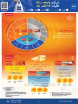 Bin Dawood offers in Western Region from 17 to 30 Dhuʻl-Hijjah 1447 AH (3 – 16 June 2026) World Cup - Bin Dawood - Saudi Arabia - 3 June 2026 – 16 June 2026 - Page 65