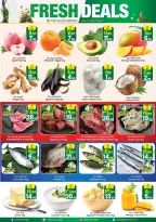 Ofertas de City flower Sakaka de 17 a 23 Dhuʻl-Hijjah 1447 AH (3 – 9 junio 2026) Operaciones locas - City flower - Arabia Saudita - 3 junio 2026 – 9 junio 2026 - Página 2