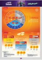 Ofertas de Danube Región Occidental de 17 a 30 Dhuʻl-Hijjah 1447 AH (3 – 16 junio 2026) Ofertas de la Copa del Mundo - Danube - Arabia Saudita - 3 junio 2026 – 16 junio 2026 - Página 83