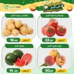 Ofertas de Green Tree Egipto de 4 a 7 junio 2026 Ofertas de ahorro - Green Tree - Egipto - 4 junio 2026 – 7 junio 2026 - Página 2