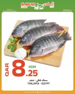 Ofertas de Souq Al Baladi Katar de 4 a 6 junio 2026 Precios de fin de semana - Souq Al Baladi - Katar - 4 junio 2026 – 6 junio 2026 - Página 3