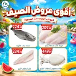 Ofertas de El mhallawy Sons de 4 a 7 junio 2026 Ofertas de fin de semana - El mhallawy Sons - Egipto - 4 junio 2026 – 7 junio 2026 - Página 2