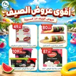 Ofertas de El mhallawy Sons de 4 a 7 junio 2026 Ofertas de fin de semana - El mhallawy Sons - Egipto - 4 junio 2026 – 7 junio 2026 - Página 38