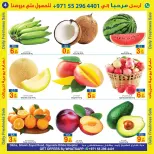 عروض سن اند ساند بفرع دبا من ٥ حتى ٧ يونيو ٢٠٢٦ عروض منعشة - سن اند ساند - الإمارات - 5 يونيو 2026 – 7 يونيو 2026 - صفحة 4