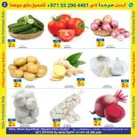 عروض سن اند ساند بفرع دبا من ٥ حتى ٧ يونيو ٢٠٢٦ عروض منعشة - سن اند ساند - الإمارات - 5 يونيو 2026 – 7 يونيو 2026 - صفحة 2