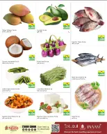 Nesto Hypermarkets Kuwait offers from 8 to 9 June 2026 Monday and Tuesday offers - Nesto - Kuwait - 8 June 2026 – 9 June 2026 - Page 3
