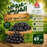 عروض المحلاوى ماركت من ٦ حتى ١٣ يونيو ٢٠٢٦ عروض الفريش - المحلاوى ماركت - مصر - 6 يونيو 2026 – 13 يونيو 2026 - صفحة 14