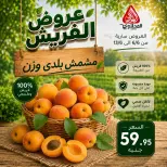 عروض المحلاوى ماركت من ٦ حتى ١٣ يونيو ٢٠٢٦ عروض الفريش - المحلاوى ماركت - مصر - 6 يونيو 2026 – 13 يونيو 2026 - صفحة 2
