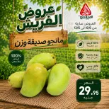 عروض المحلاوى ماركت من ٦ حتى ١٣ يونيو ٢٠٢٦ عروض الفريش - المحلاوى ماركت - مصر - 6 يونيو 2026 – 13 يونيو 2026 - صفحة 6