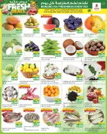 Ofertas de Nesto Hipermercados Hawalli, Salmiya, Khaitan, Fahaheel, Mangaf, Jlyb de 10 a 15 junio 2026 Price Revolution ofrece - Nesto - Kuwait - 10 junio 2026 – 15 junio 2026 - Página 14
