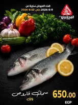 عروض المحلاوى ماركت من ٩ حتى ١٠ يونيو ٢٠٢٦ مهرجان الأسماك - المحلاوى ماركت - مصر - 9 يونيو 2026 – 10 يونيو 2026 - صفحة 2