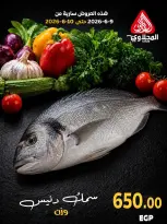 عروض المحلاوى ماركت من ٩ حتى ١٠ يونيو ٢٠٢٦ مهرجان الأسماك - المحلاوى ماركت - مصر - 9 يونيو 2026 – 10 يونيو 2026 - صفحة 9